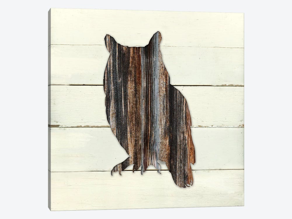 Woodland Owl by Carol Robinson 1-piece Canvas Artwork