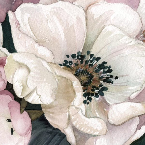 Anemones: Anemone Study III by Carol Robinson