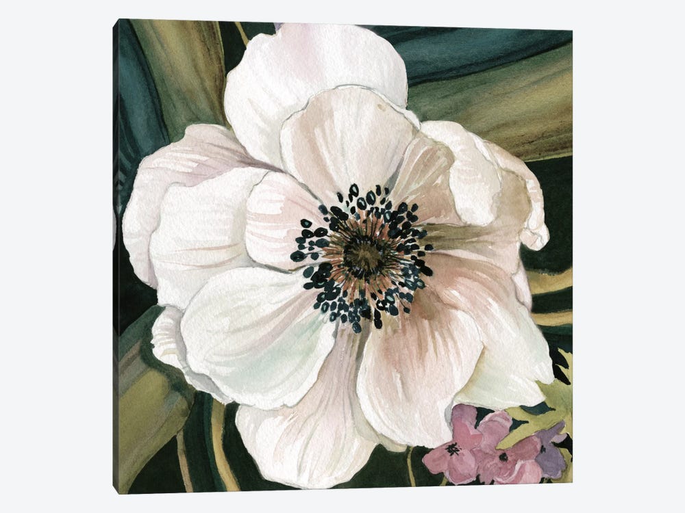 Anemone Study IV by Carol Robinson 1-piece Canvas Art Print