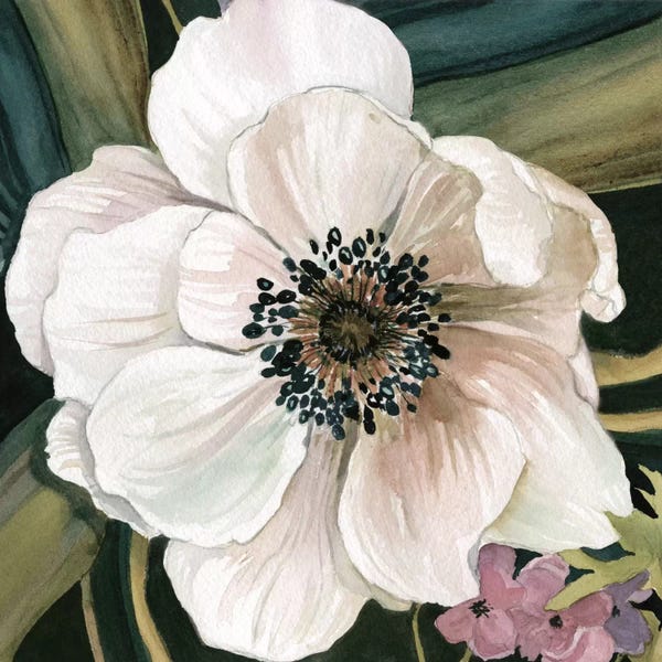 Anemones: Anemone Study IV by Carol Robinson