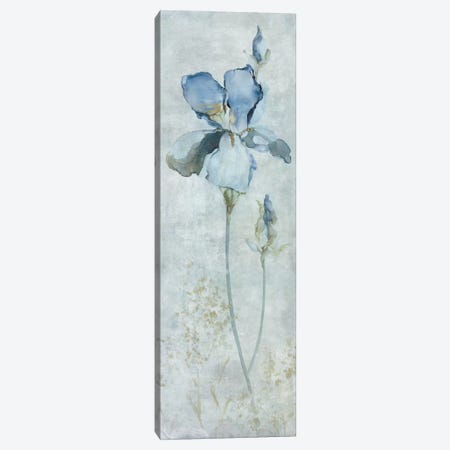 Blue Iris Canvas Print #CRO334} by Carol Robinson Canvas Artwork