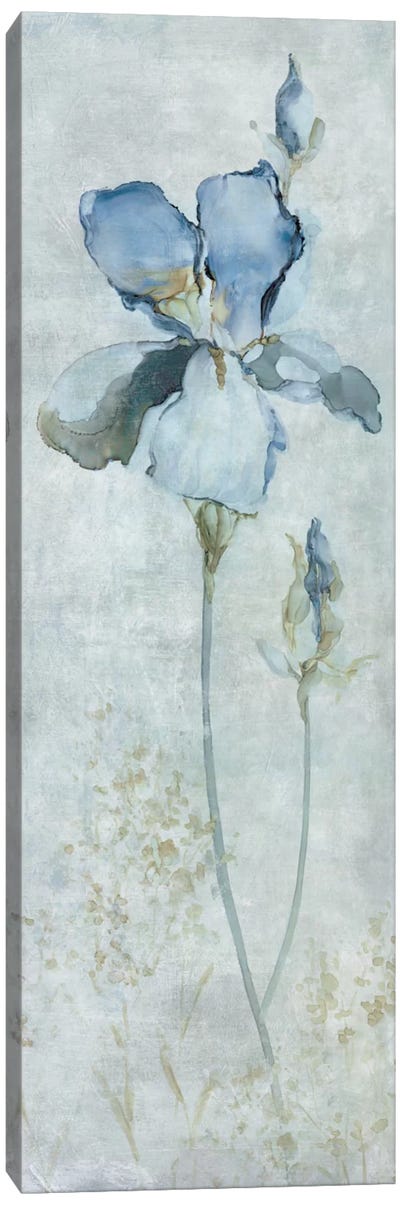 Blue Iris Canvas Art Print