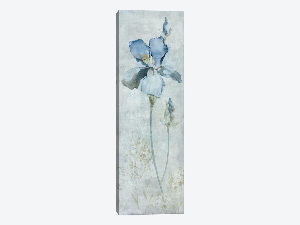 Blue Iris by Carol Robinson 1-piece Canvas Wall Art