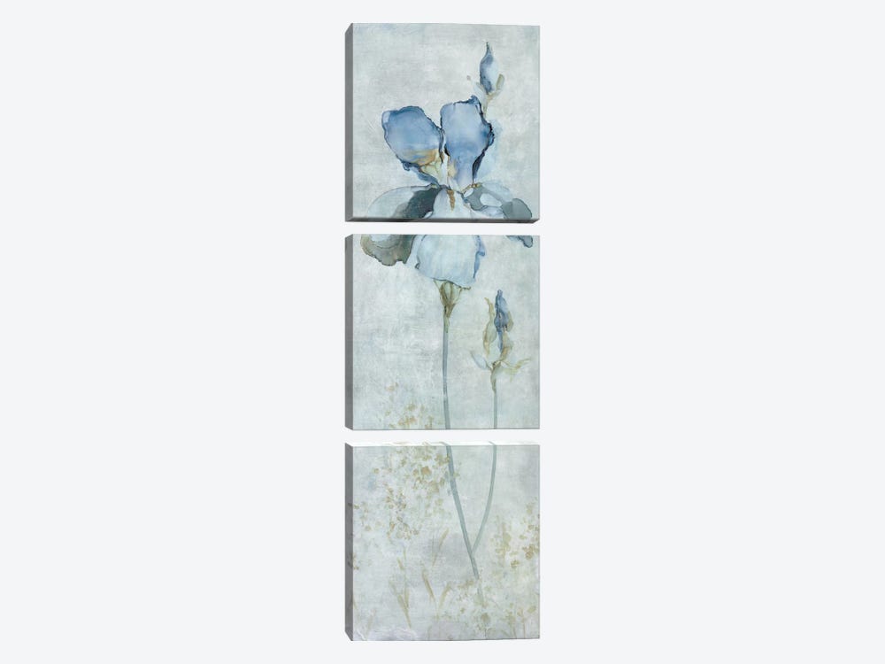 Blue Iris 3-piece Canvas Artwork