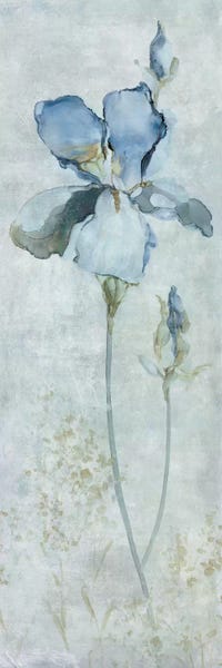 Panoramic Vertical: Blue Iris by Carol Robinson