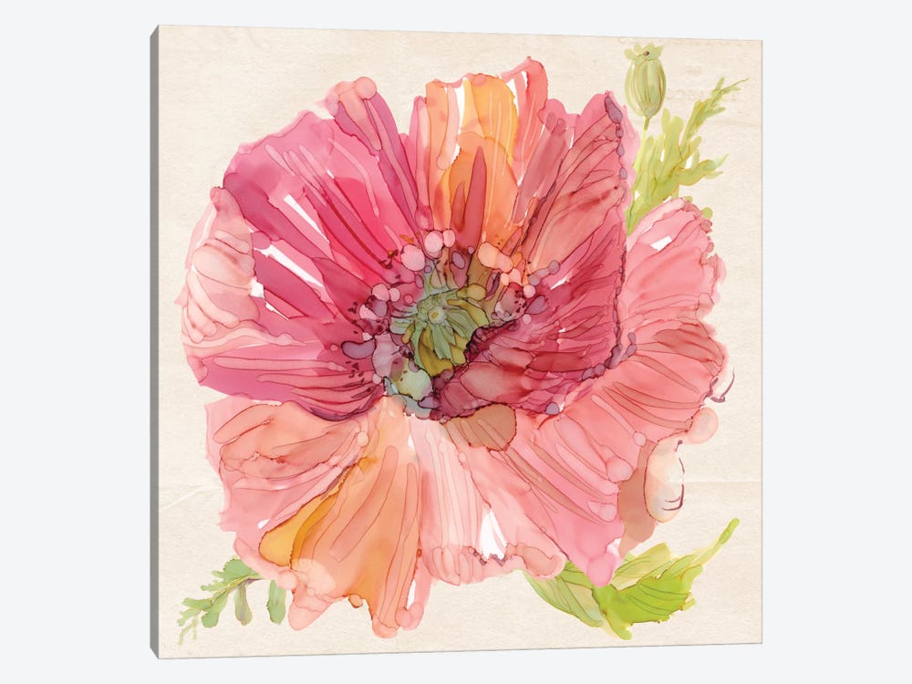 Botanical Poppy In Zoom by Carol Robinson 1-piece Canvas Art Print