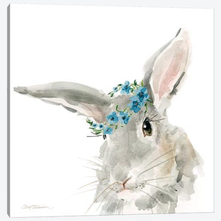 Glamour Girls: Rabbit Canvas Print #CRO349} by Carol Robinson Canvas Artwork