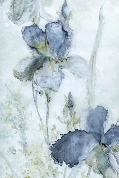 Morning Iris by Carol Robinson wall art