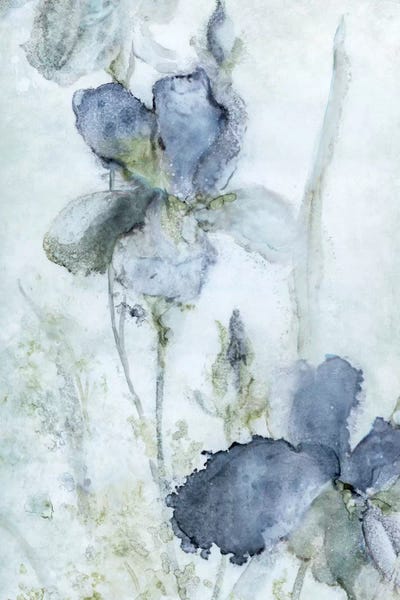 Traditional Décor: Morning Iris by Carol Robinson