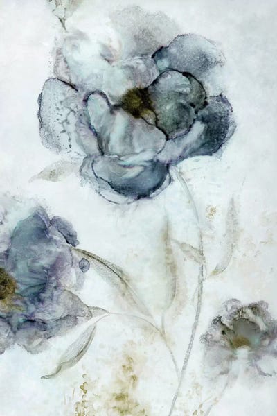 Traditional Décor: Morning Peony by Carol Robinson