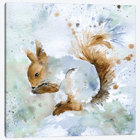 Squirrel Canvas Print #CRO37} by Carol Robinson Canvas Artwork