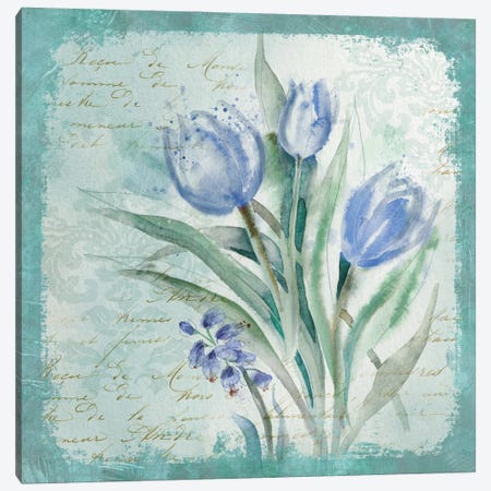 Tulip Medley Canvas Print #CRO382} by Carol Robinson Canvas Wall Art