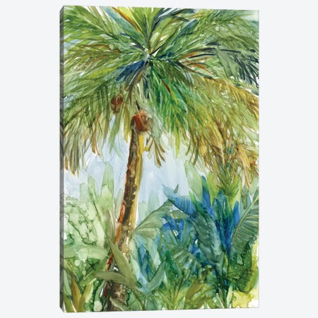 Vintage Palm Canvas Print #CRO383} by Carol Robinson Canvas Art