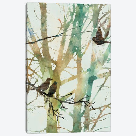 Botanical Birds I Canvas Print #CRO395} by Carol Robinson Canvas Art
