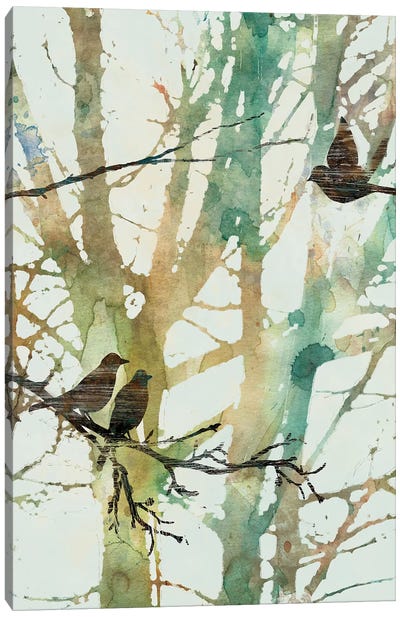 Botanical Birds I Canvas Art Print - Carol Robinson