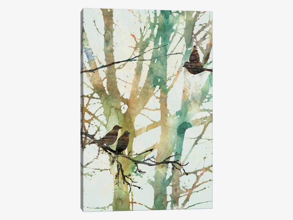 Botanical Birds I by Carol Robinson 1-piece Canvas Art Print