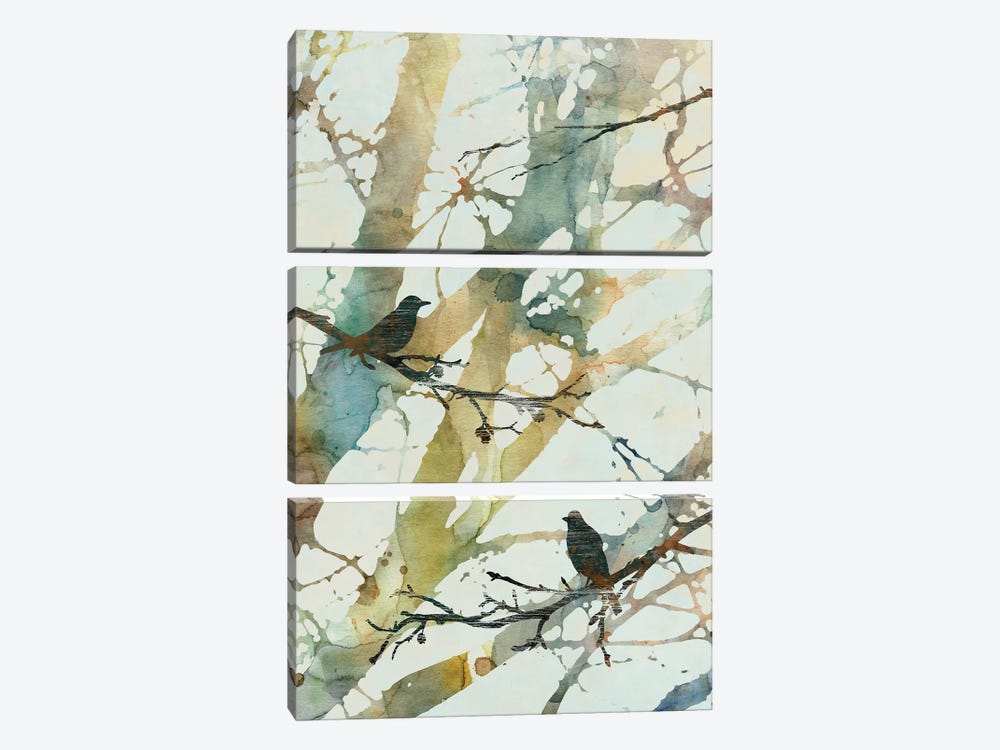 Botanical Birds II by Carol Robinson 3-piece Canvas Art