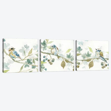 Spring Melody Triptych Canvas Print Set #CRO3HSET001} by Carol Robinson Canvas Art