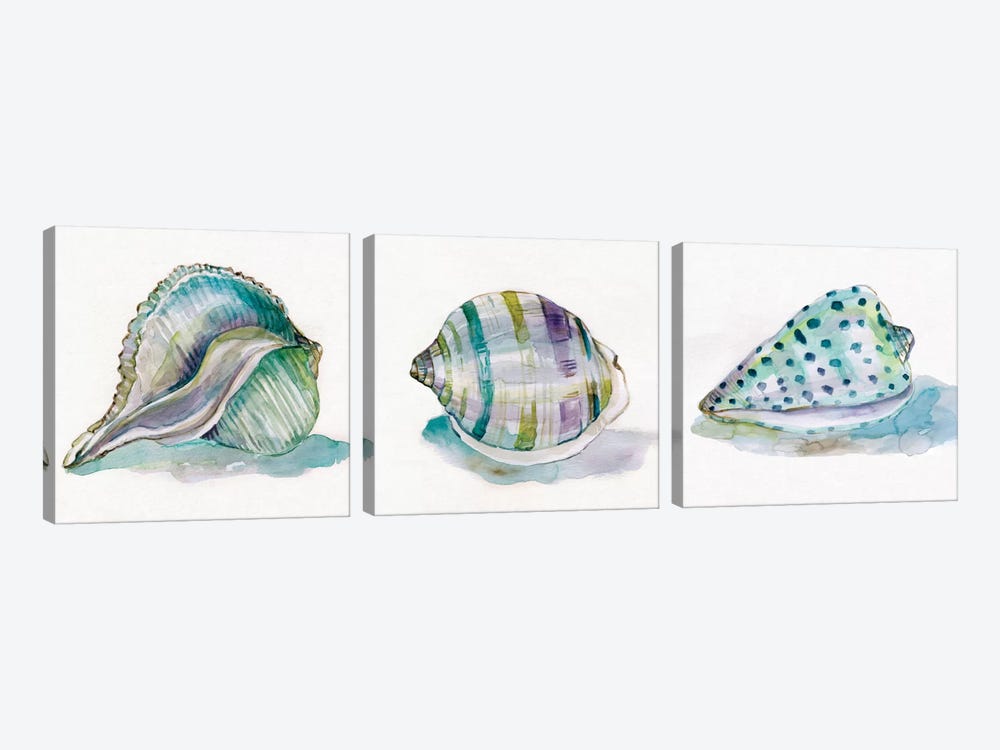 Malecon Shell Triptych by Carol Robinson 3-piece Art Print