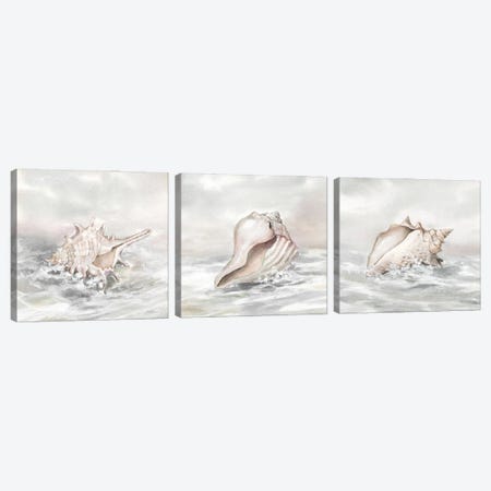 Washed Ashore Triptych Canvas Print Set #CRO3HSET004} by Carol Robinson Canvas Art Print