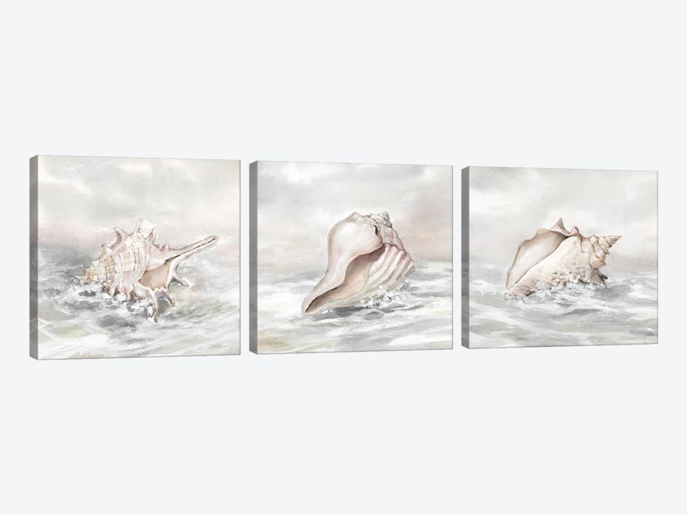 Washed Ashore Triptych by Carol Robinson 3-piece Art Print