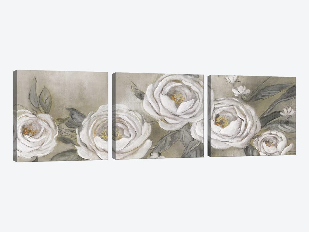 Cottage Roses by Carol Robinson 3-piece Canvas Artwork