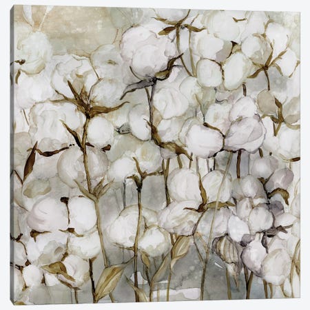 Cotton Field Canvas Print #CRO401} by Carol Robinson Canvas Art Print