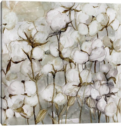 Cotton Field Canvas Art Print - Carol Robinson