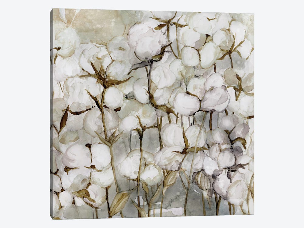 Cotton Field by Carol Robinson 1-piece Canvas Print