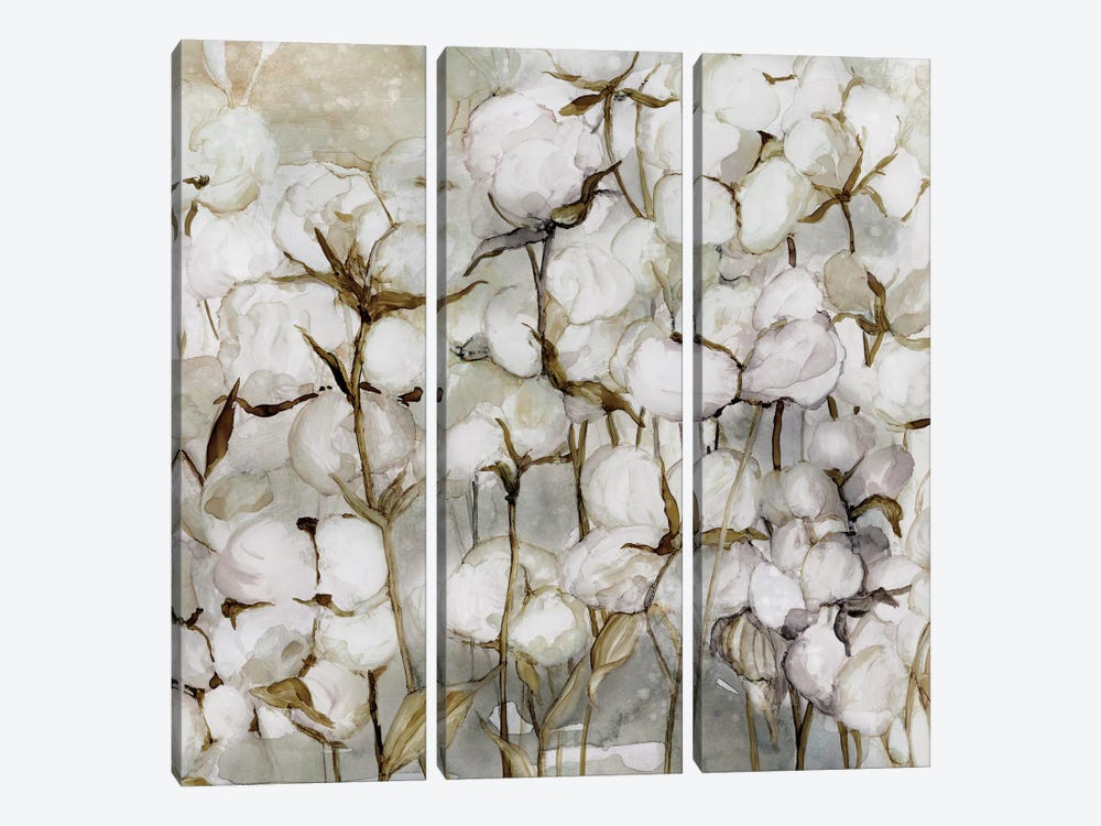 Cotton Field by Carol Robinson 3-piece Canvas Print