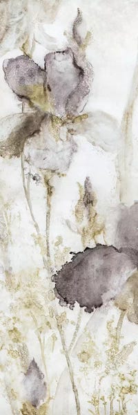 European Décor: Dawn Iris by Carol Robinson