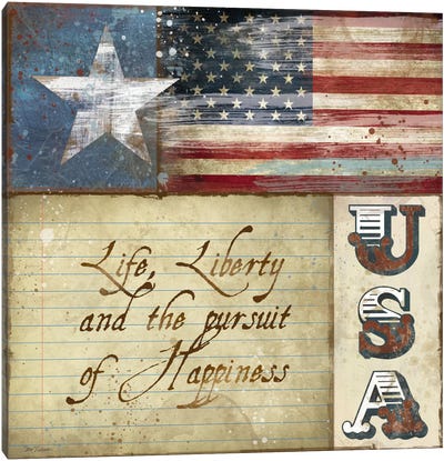 USA Canvas Art Print - Flag Art