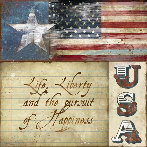 American Décor: USA by Carol Robinson