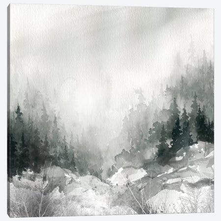 Dusk On The Mountain Canvas Print #CRO427} by Carol Robinson Canvas Art