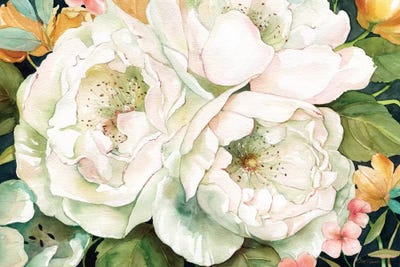 Garden In White by Carol Robinson canvas print