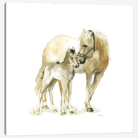 Horse And Colt Canvas Print #CRO439} by Carol Robinson Canvas Artwork