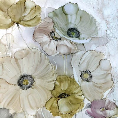 Iridescent Poppies by Carol Robinson framed canvas print