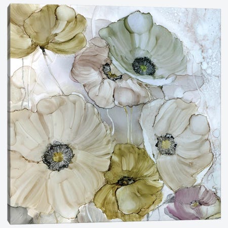 Iridescent Poppies Canvas Print #CRO441} by Carol Robinson Canvas Art Print
