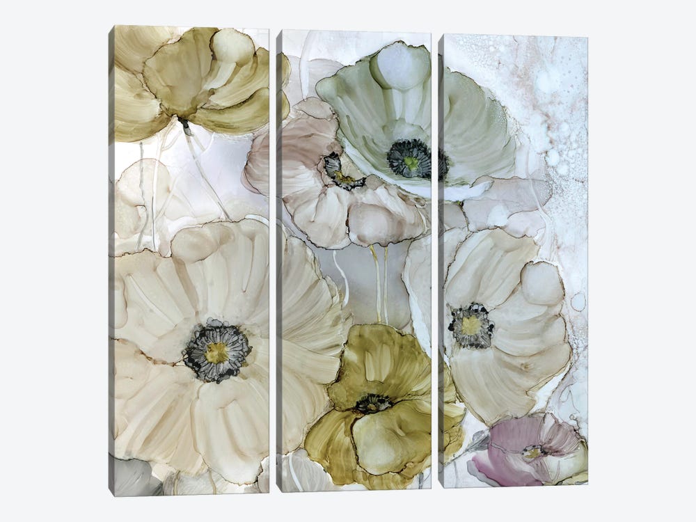 Iridescent Poppies by Carol Robinson 3-piece Canvas Print