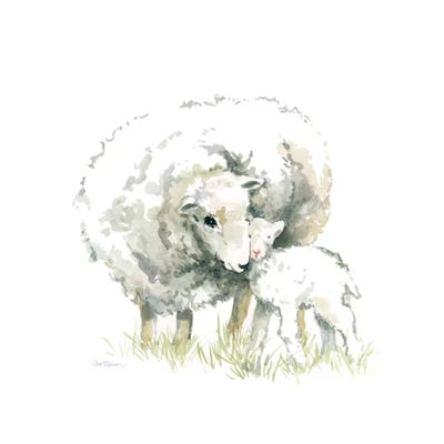 Sheep And Lamb by Carol Robinson framed wall art