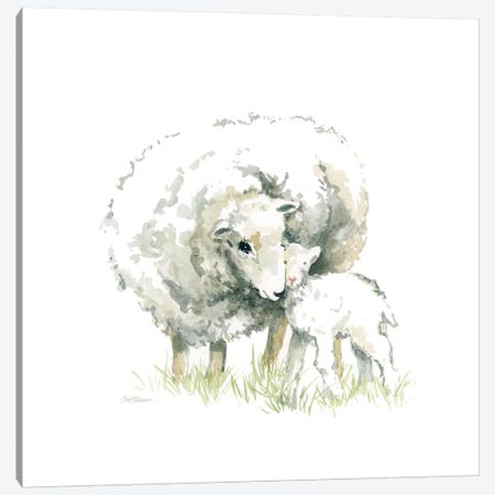 Sheep And Lamb Canvas Print #CRO448} by Carol Robinson Art Print