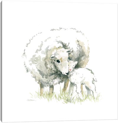 Sheep And Lamb Canvas Art Print - Baby Animal Art