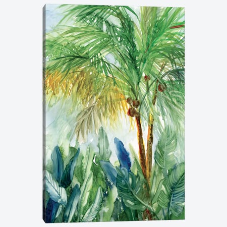 Vintage Palm I Canvas Print #CRO450} by Carol Robinson Canvas Artwork