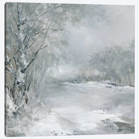 Winter Wonderland Canvas Print #CRO451} by Carol Robinson Canvas Art