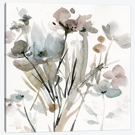 Dainty Blooms I Canvas Print #CRO457} by Carol Robinson Art Print