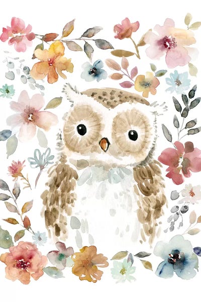 Flowers & Friends Owl by Carol Robinson framed canvas print