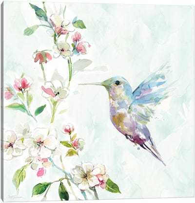 Hummingbird II Canvas Art Print - Pastels