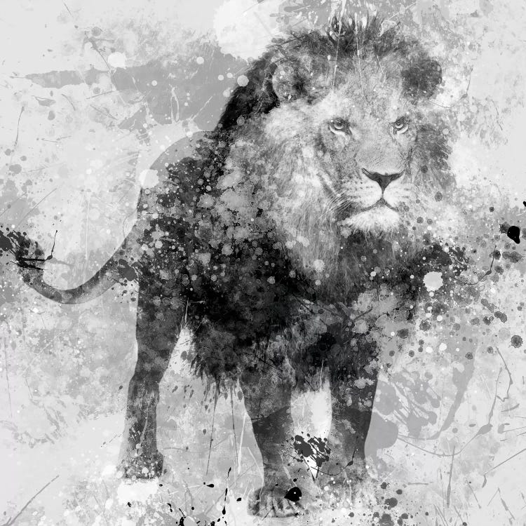 Lion by Carol Robinson wall art