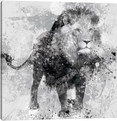 Lion Canvas Art Print - Black & White Animal Art