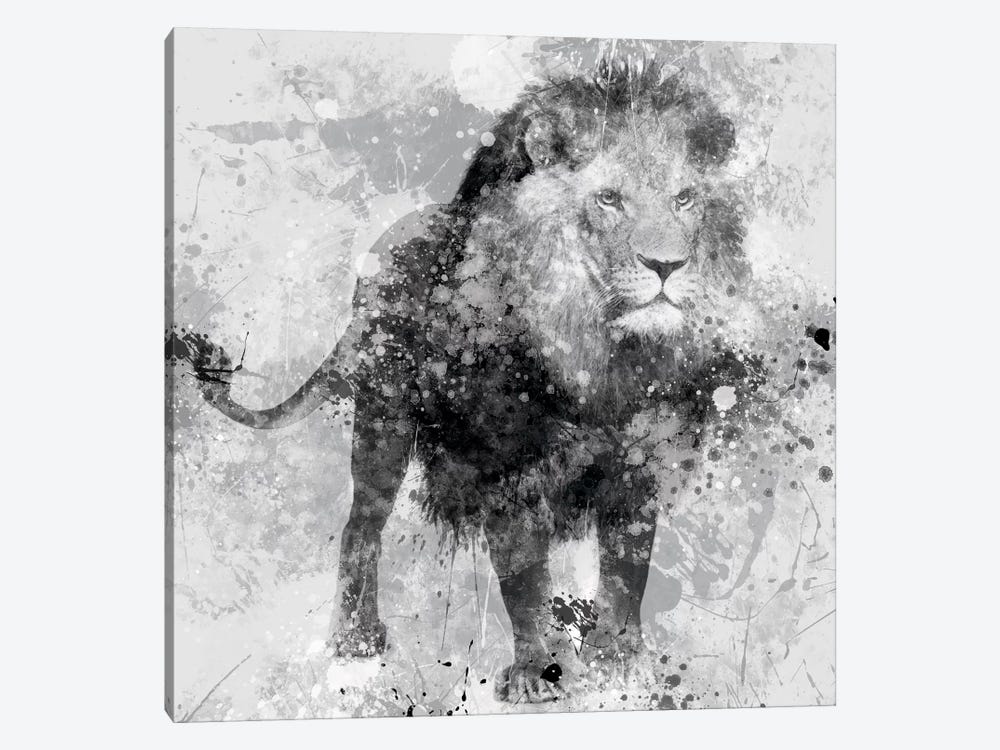 Lion by Carol Robinson 1-piece Canvas Print